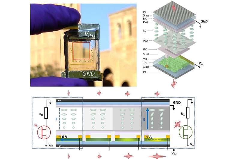 Novel 2D Optoelectronic Neuron Array for Broadband Optical Nonlinearity