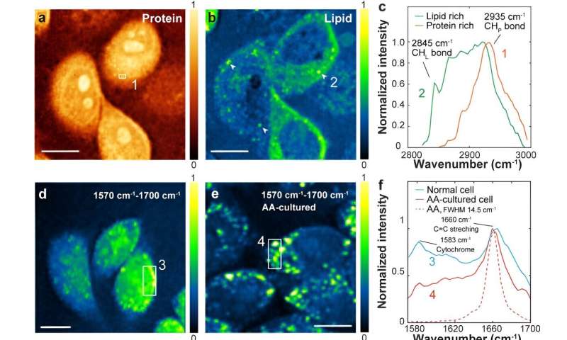 High-Resolution Stimulated Raman Scattering (SRS) Spectroscopy with Transient Excitation