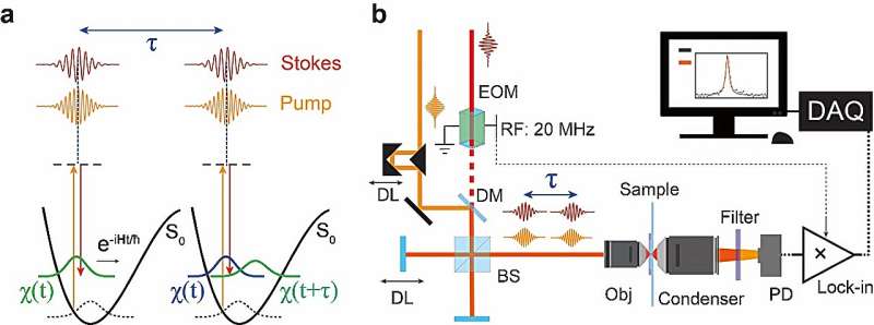 High-Resolution Stimulated Raman Scattering (SRS) Spectroscopy with Transient Excitation