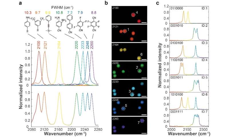 High-Resolution Stimulated Raman Scattering (SRS) Spectroscopy with Transient Excitation
