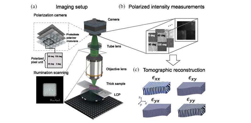 Tensorial Ptychography: Simplified Polarization-Sensitive Tomography for Medical Imaging