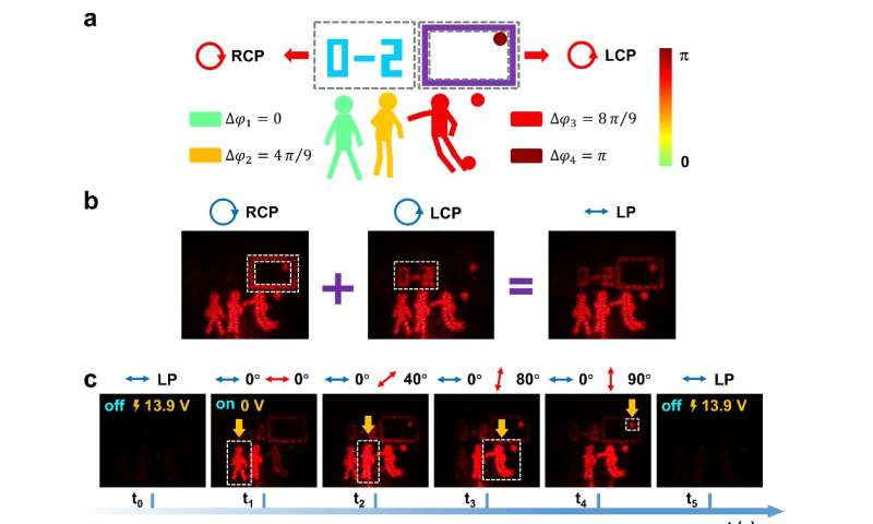 Liquid Crystal Holograms Revolutionize Light Polarization Control