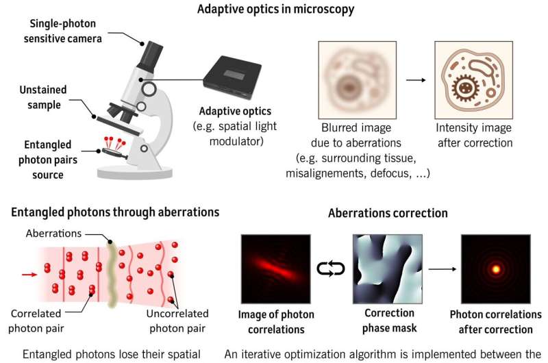 Quantum Imaging: Revolutionizing Microscope Resolution for Advanced Microscopy