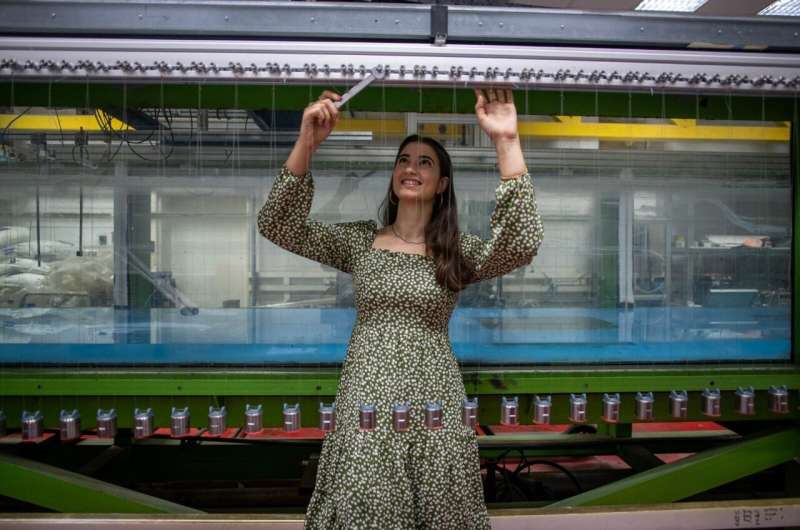 Quantum Secrets Revealed: Pendulum Experiment Uncovers Topological Material Insights