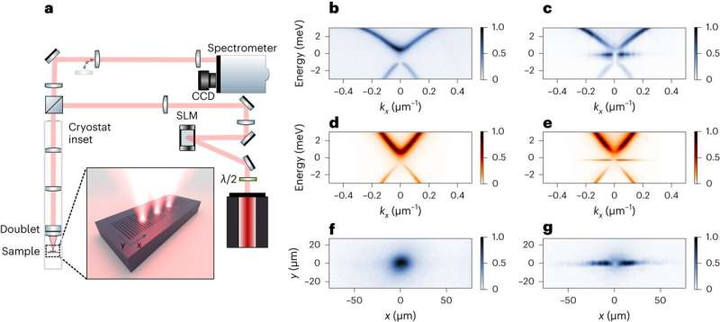 Macroscopic Light Structures Formed by Trapped Quantum Droplets