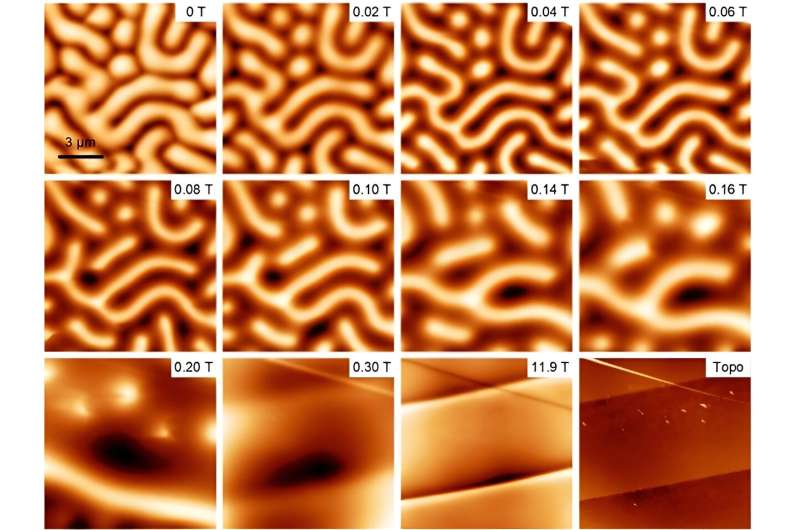 Novel Glovebox-Assisted MFM Enables Imaging of Air-Sensitive Materials
