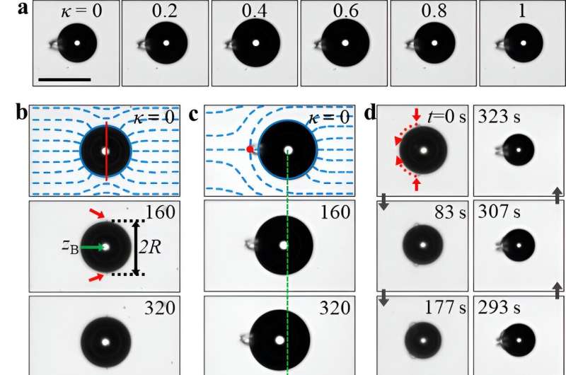 New Motion Principle Discovered in Liquid Crystals by UNIST Researchers