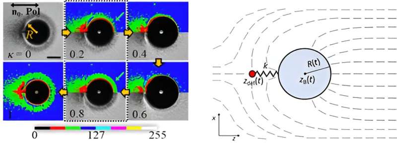 New Motion Principle Discovered in Liquid Crystals by UNIST Researchers