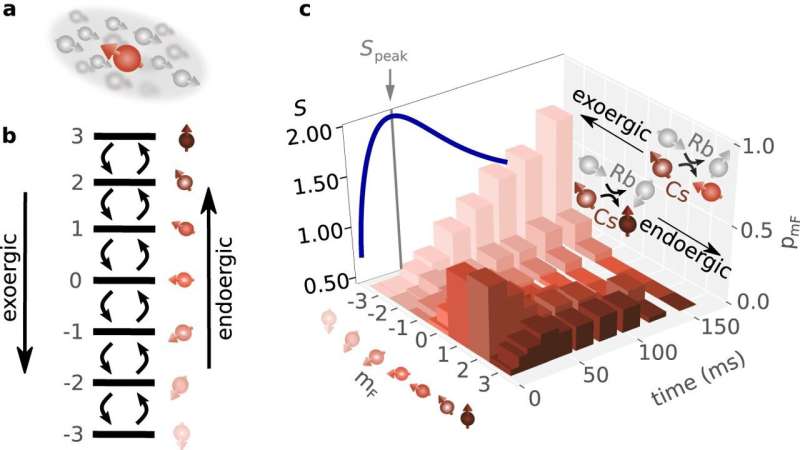 Researchers Observe Universal Behavior in Open Quantum Systems