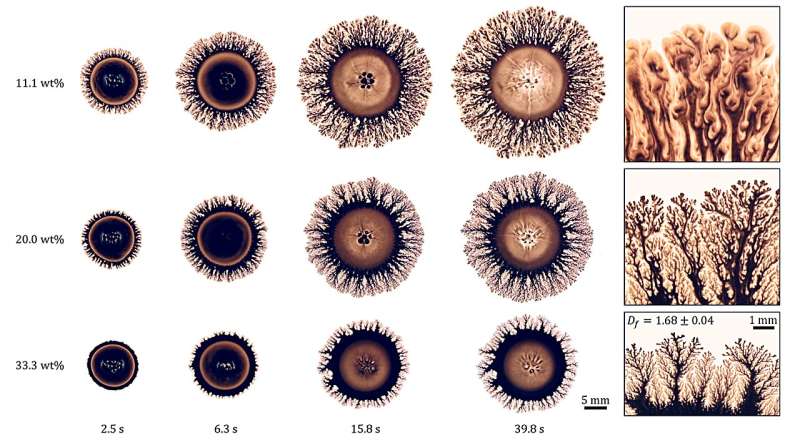 Akiko Nakayama: Fluid Art & Physics in Japanese Painting