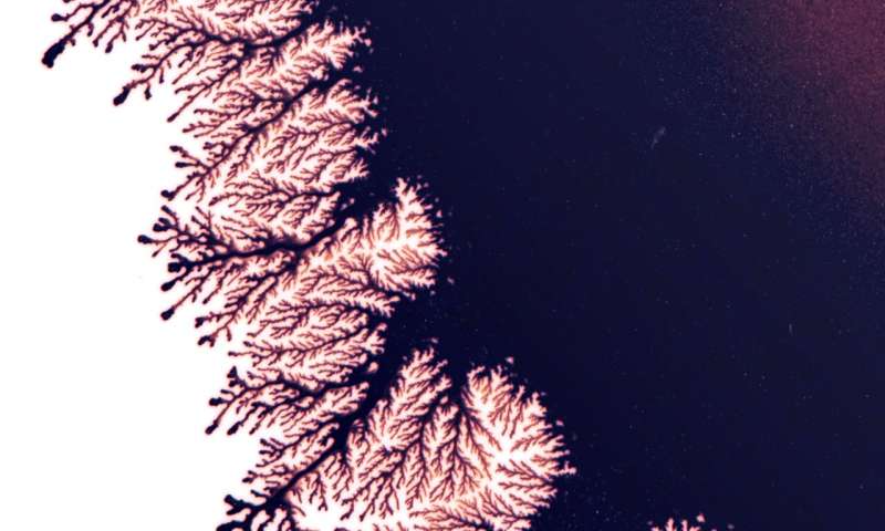 Akiko Nakayama: Fluid Art & Physics in Japanese Painting