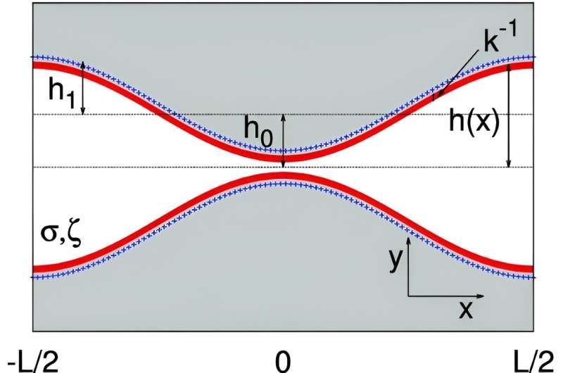 Understanding Electrolyte Charge Neutrality in Biological and Energy Systems