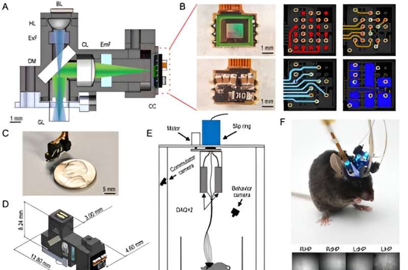 Ultra-Compact Head-Mounted Fluorescence Microscope for Neuroscience