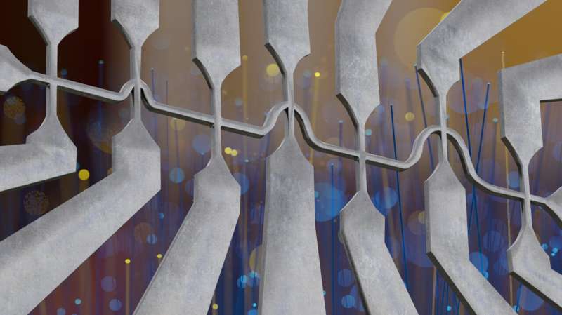 Tunable Nonlinear Hall Effect in Bismuth Thin Films Opens Doors for Advanced Technologies