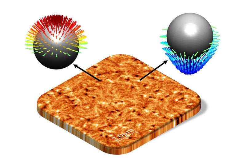 Antiferromagnetic Merons: A New Frontier in Spintronics