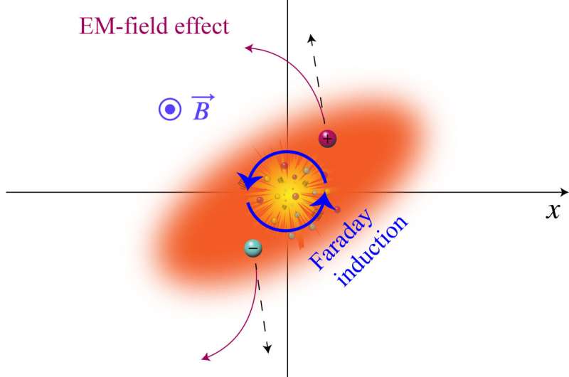 Strong Magnetic Fields  Impact on Nuclear Matter Revealed by Scientists