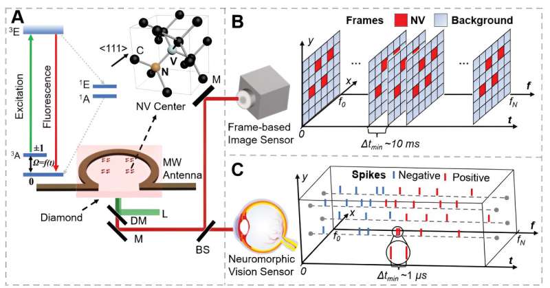 Widefield Quantum Sensing with Neuromorphic Vision Sensors