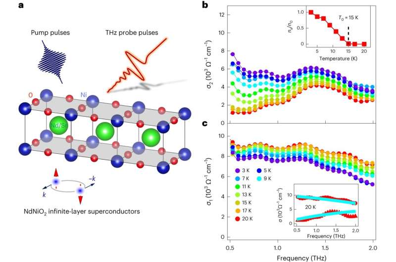 Novel Nickelate Superconductors: Unveiling Unconventional Properties