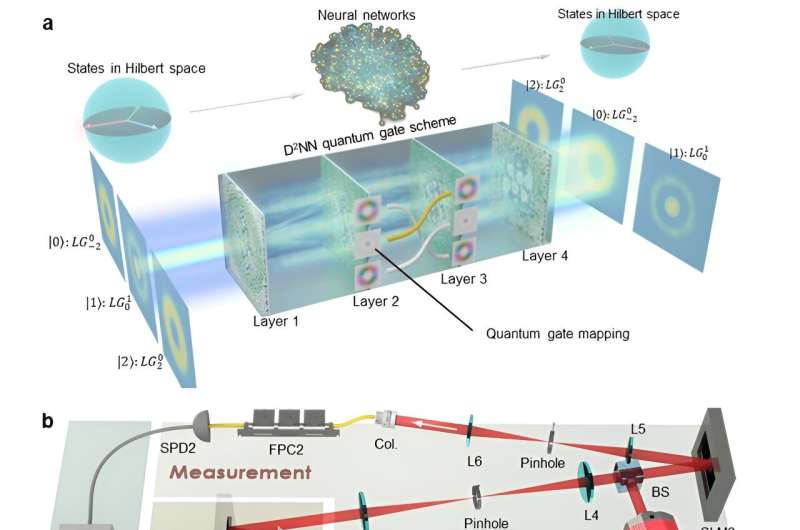 Diffractive Neural Networks for High-Fidelity Quantum Gates