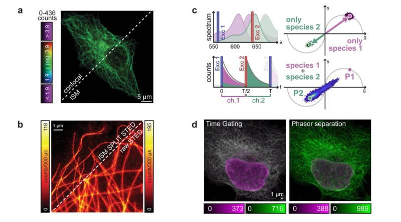 Enhanced Microscopy: Single-Photon Imaging for Higher Information Content
