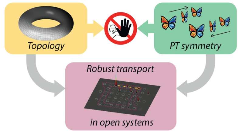 Robust Light Propagation in Open Systems: A New Study