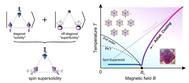 Scientists Observe First Supersolid Phase in Material - Nature 2024