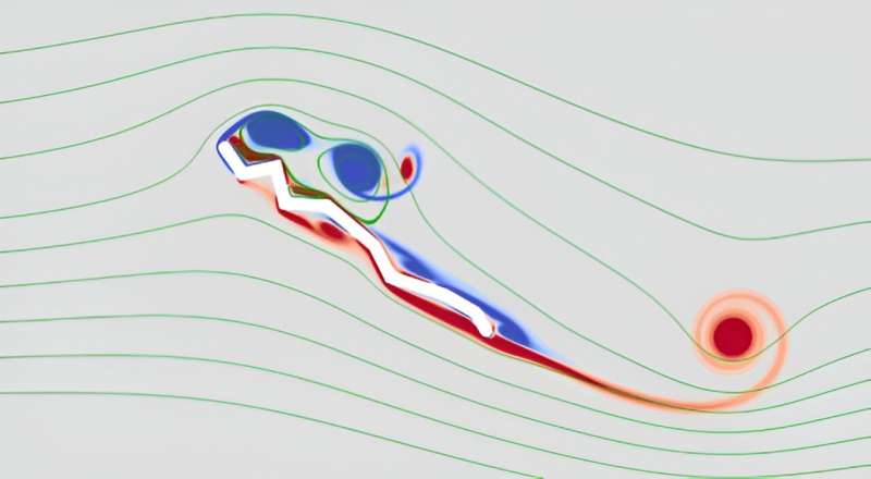 Dragonfly Wing Structure & Vortex Dynamics: A Scientific Study