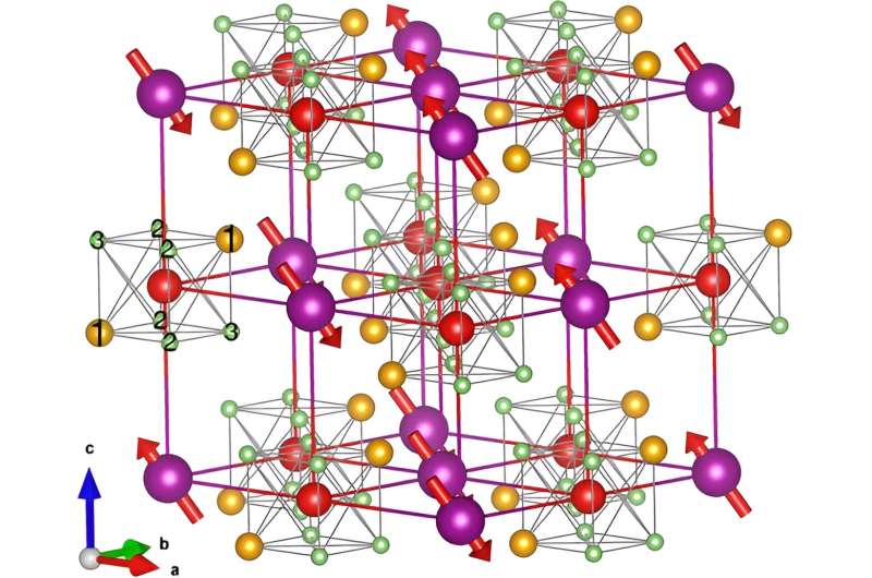 Muon Spin Studies in Antiferromagnetic Oxides: Site Switching and Magnetic Ordering