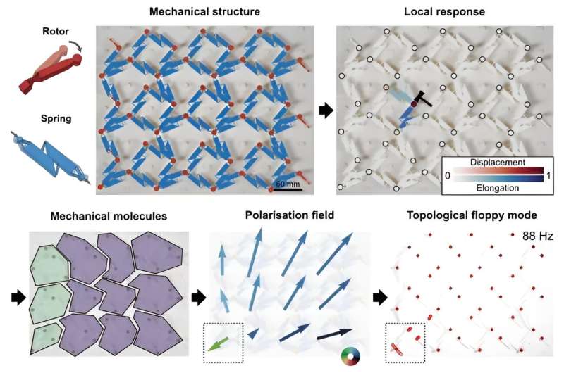 Experimental Method Determines Topological Properties of Mechanical Metamaterials