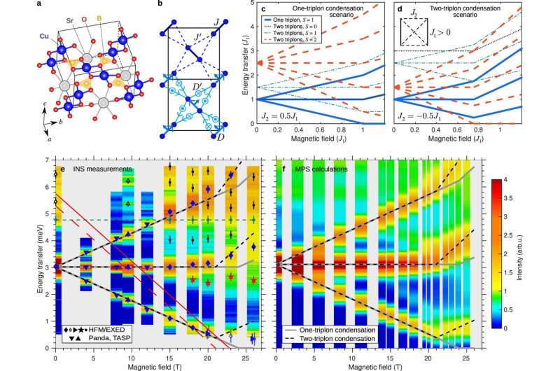 Quantum Material Behavior: New Insights into SrCu2(BO3)2 Magnetic Properties