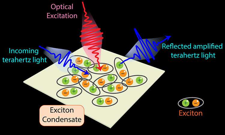 Unlocking Hidden Potential: New Insights into Quantum Materials
