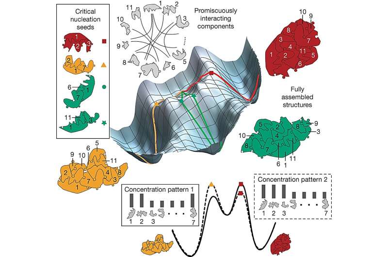 Nucleation and Neural Networks: A Novel Framework for Pattern Recognition
