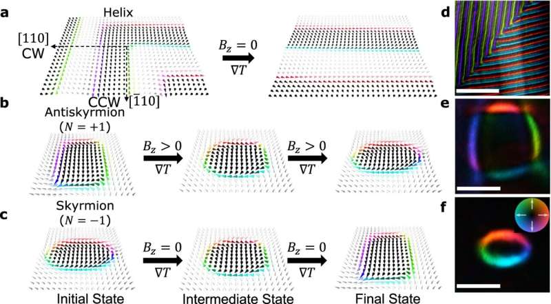 Heat-Driven Skyrmion Transformations: Advancing Spintronics