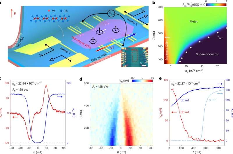 Quantum Fluctuations in Superconductors: A New Discovery Challenges Theories