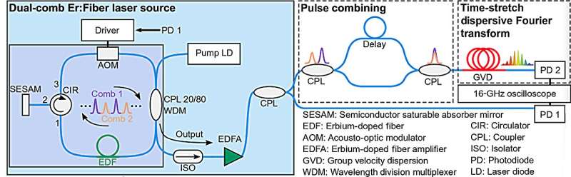 Controllable Ultrafast Laser Pulses from a Single Fiber Laser