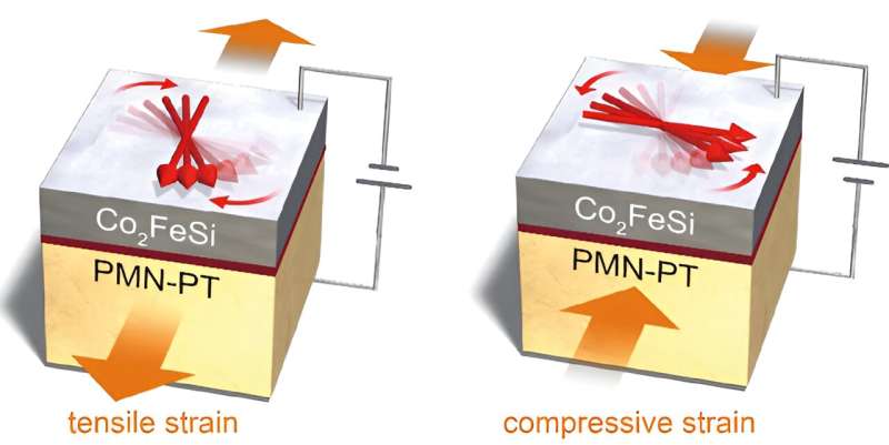 Controlling Magnetization with Strain in Multiferroic Materials | NPG Asia Materials