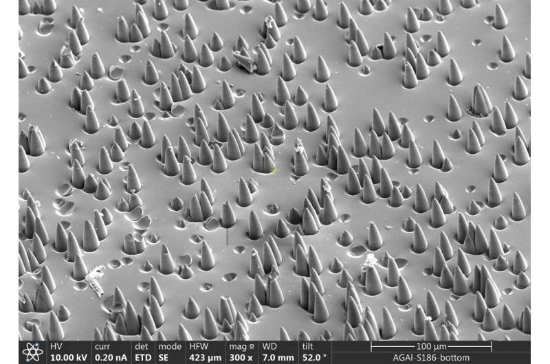 Atomic Clock Micro-World: Exploring the Inner Structure of Space Navigation Technology