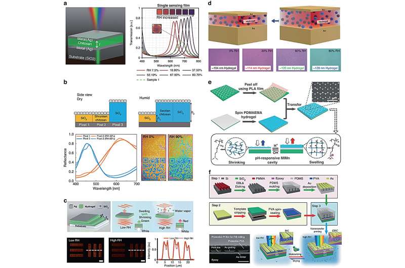Hydrogel Photonics: Advancing Devices with 2D Thin Films