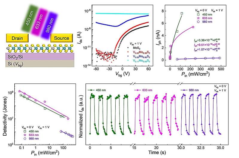 Broadband Photodetectors via 2D Semiconductor Doping: A MoS2 Approach
