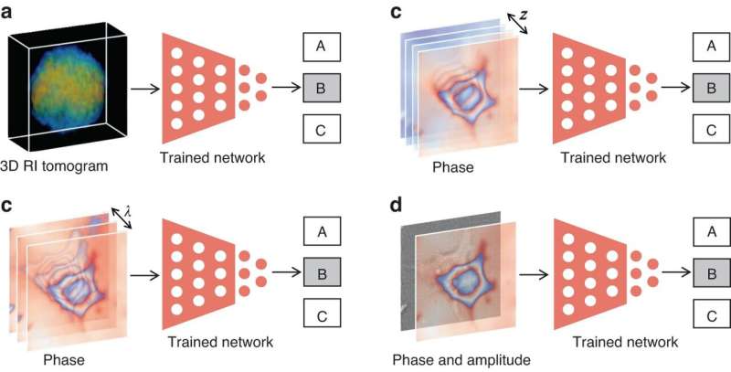 Deep Learning for Phase Recovery: Advanced Optical Signal Processing