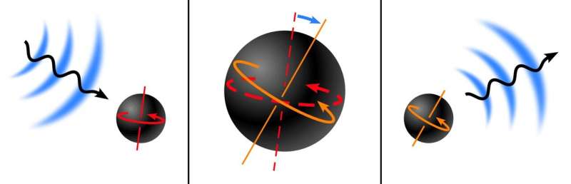 Understanding Black Hole Dynamics with Gauge Symmetry