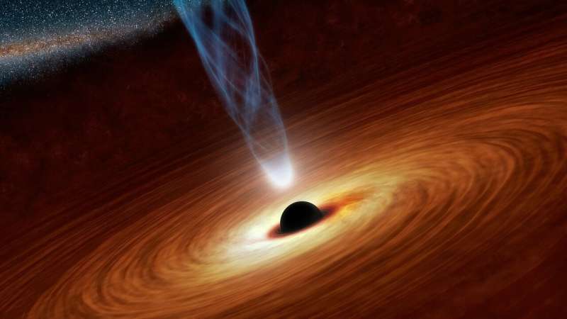 Understanding Black Hole Dynamics with Gauge Symmetry