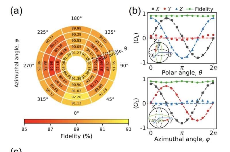 High-Fidelity Logical Quantum State Preparation on Superconducting Processor