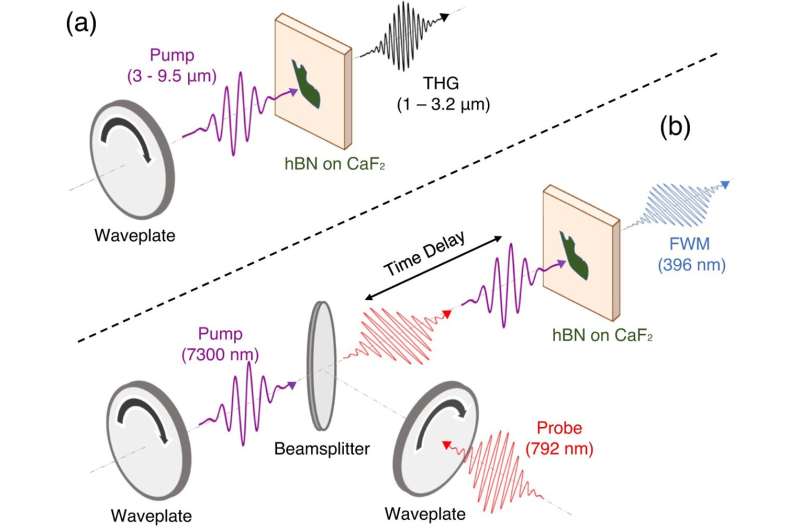 Enhancing 2D Material Optical Properties with Laser-Crystal Lattice Interactions