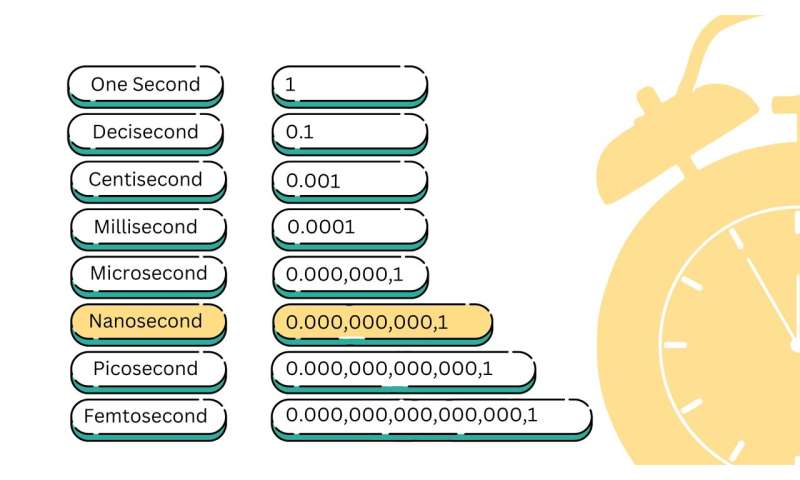 Nanosecond Imaging Captures Shockwave Propagation Through Single Cell