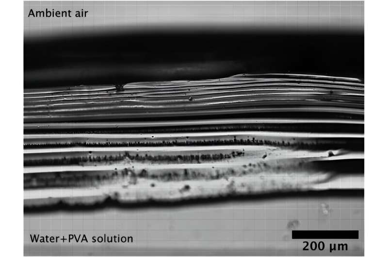 Understanding Why Humidity Doesn t Slow Paint Drying