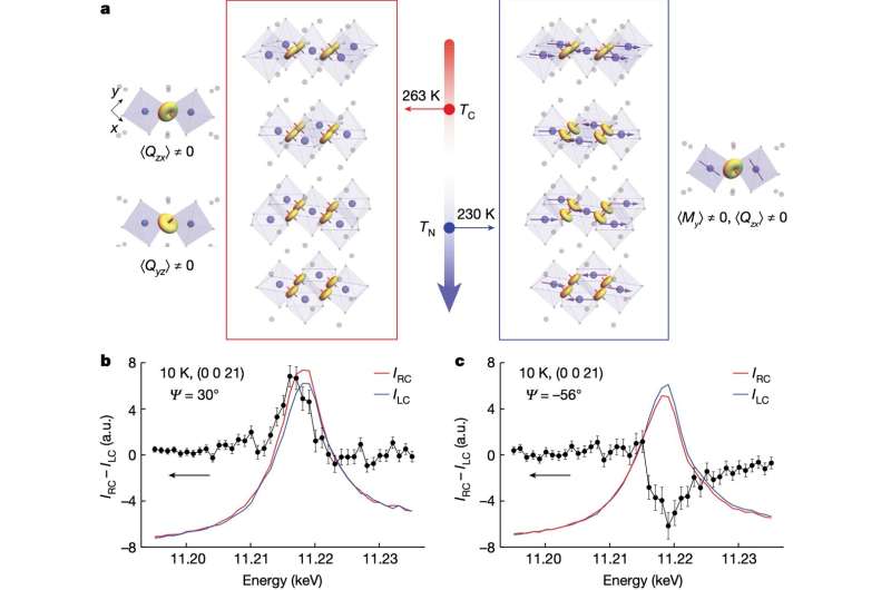 Spin Liquid Discovery: Direct Observation of Spin Quadrupole Moments in a Magnetic Liquid Crystal