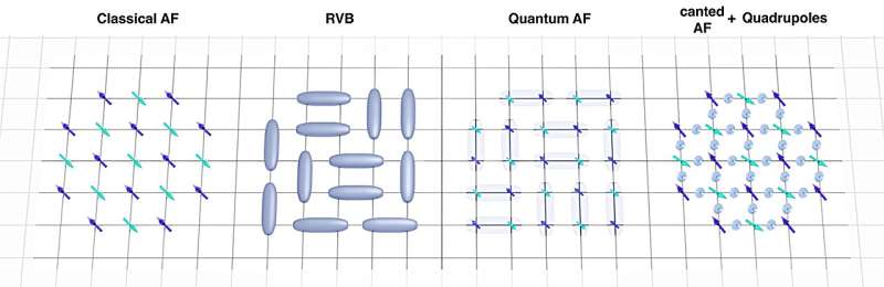 Spin Liquid Discovery: Direct Observation of Spin Quadrupole Moments in a Magnetic Liquid Crystal