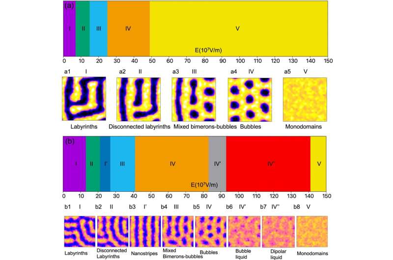 Novel Quantum Phases Discovered in Low-Dimensional Polar Materials