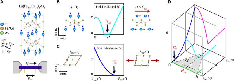 Exploring Field-Induced Superconductivity in Quantum Materials
